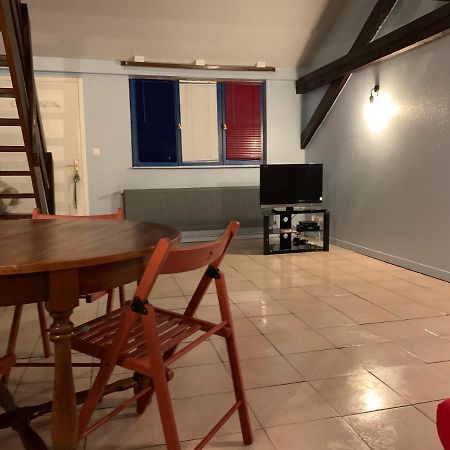 Dallas Garden Strasbourg Kültér fotó