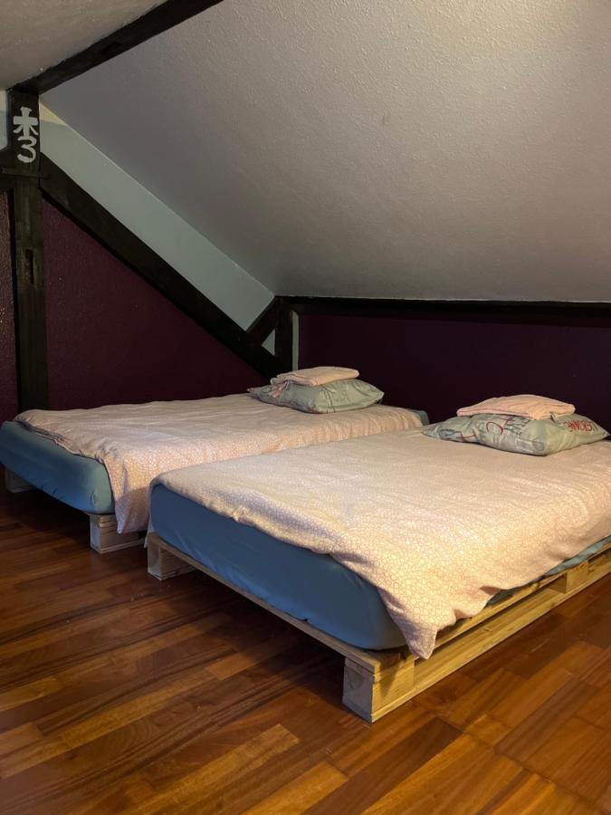 Dallas Garden Strasbourg Kültér fotó