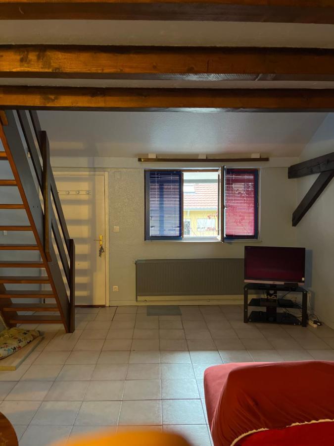 Dallas Garden Strasbourg Kültér fotó